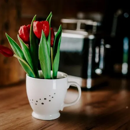 Lasschata - W Gorach Z Balia Oraz Sauna Zakopane